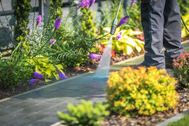 Best Gutter Cleaning  in Tuscarawas, OH